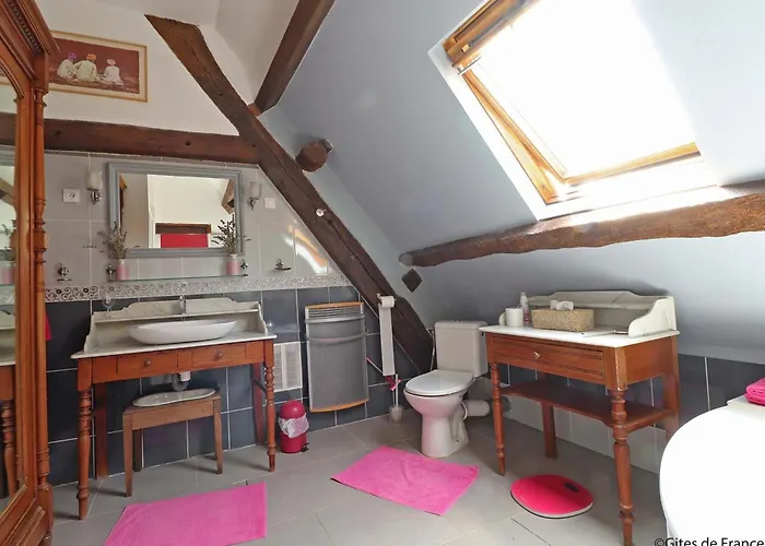 Authentique Moulin à Eau Avec Piscine Et Wi-fi, Charme Du 18ème Siècle - Fr-1-497-186 Appenai-sous-Belleme